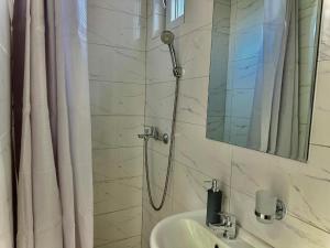 a bathroom with a shower with a sink and a mirror at Room 4A in Jošanička Banja