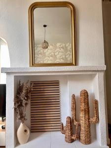 una mensola bianca con uno specchio e un cactus di Appartement à Manosque - Centre Historique a Manosque