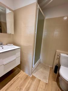 un bagno con doccia, WC e lavandino di Appartement à Manosque - Centre Historique a Manosque