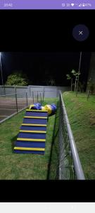 a row of blue and yellow sleeping mats on the grass at Apto em Barretos Próximo PIO XII in Barretos