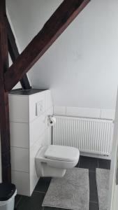 een badkamer met een wit toilet op zolder bij Ferienwohnung Luitpold 21 in Edenkoben +13 foto's
