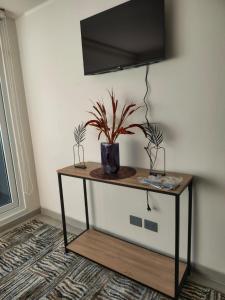 TV a/nebo společenská místnost v ubytování Céntrico en Concepción 1D 1B 1E