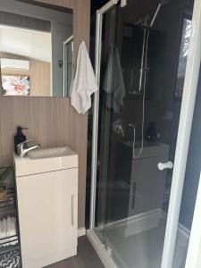 a bathroom with a shower and a sink and a mirror at Gruyere Falls by Tiny Away in Gruyere +9 photos