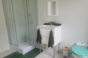 a bathroom with a sink and a shower and a toilet at 1Bed Apartment Sleeps 2 - Parking Wifi in Fougerolles-du-Plessis +5 photos