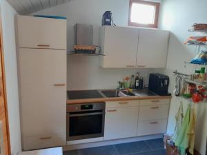 Η κουζίνα ή μικρή κουζίνα στο Hüsi