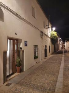 a cobblestone street in an alley at night at La bóveda in Zafra