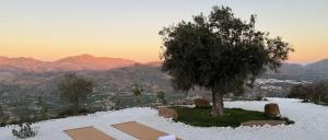 a tree sitting on top of a hill with snow at Alora Private Villa - Pool & 360 Mountain Views in Alora