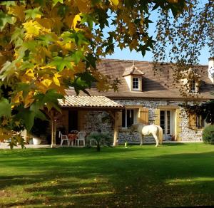 ein weißes Pferd steht vor einem Haus in der Unterkunft Gite Jardin De Pomarede in Prigonrieux