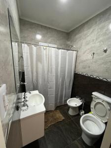 Un baño con inodoro, lavabo y ducha. en Cabaña del monte 1, en Monte Hermoso