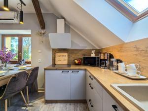 Kuchyň nebo kuchyňský kout v ubytování Apartament Komarno IV