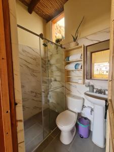 a bathroom with a toilet and a sink and a shower at Habitación con baño privado in Barichara