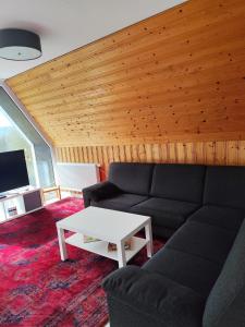 Ferienhaus Eulenburg am Reuthsee في Sulzdorf an der Lederhecke: غرفة معيشة مع أريكة وطاولة