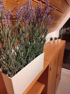 Ferienhaus Eulenburg am Reuthsee في Sulzdorf an der Lederhecke: مجموعة من النباتات الأرجوانية في وعاء أبيض على المنضدة