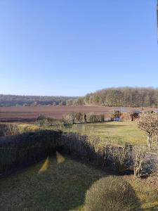 Ferienhaus Eulenburg am Reuthsee في Sulzdorf an der Lederhecke: حقل مع بركة في العشب