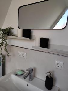 Ferienhaus Eulenburg am Reuthsee في Sulzdorf an der Lederhecke: حمام مع حوض ومرآة +21 صورة