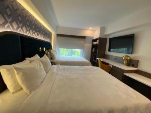 Giường trong phòng chung tại Holiday Inn Express Ciudad de Mexico Condesa by IHG