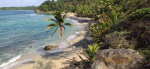 Gallery image of Turtle Beach villa, Private beach in Woodford Hill