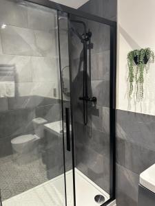 une douche avec une porte vitrée dans une salle de bain dans l'établissement The Fortis Apartments - 1 Bed - WIFI - Videocom Entry - Close to Bus & Train Stations - Professionals, Contractors & Tourist Ready, à Peterborough