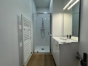 a bathroom with a shower and a sink and a mirror at Le Repos Urbain - 3pers - Rêve au Mans in Le Grand-Lucé