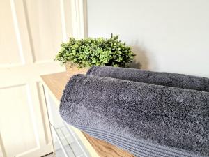 a gray towel on a counter next to a plant at Devon St - Cozy home, Free easy parking! in Hull +25 photos