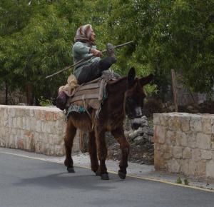 un hombre montado en la espalda de un burro en Lasa Heights Hotel, en Lasa