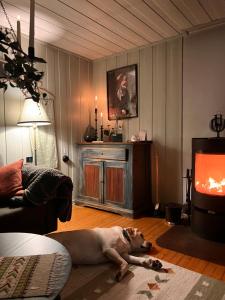 un chien allongé sur le sol dans un salon dans l'établissement Veslekoia - Grandmas Escape, à Øksna