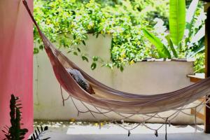 a bird sitting in a hammock in a garden at Casa Matatiso - casa de 2 quartos na Ilha Grande in Angra dos Reis
