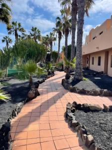 um caminho com palmeiras e um edifício em Coco Canaria em Corralejo