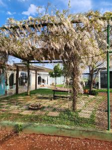 un pergolato con un albero in fiore in un parco di Studio & suites Patricia Tennis ad Abelardo Luz