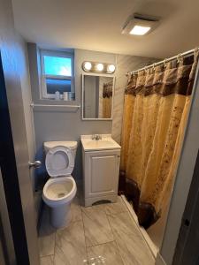 a bathroom with a toilet and a sink and a mirror at Island Motor Inn in Island Park