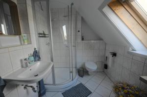 a bathroom with a shower and a sink and a toilet at Fewo Charlotte in Weimar +10 photos