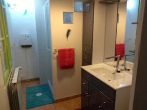 BrandonnetManoir Les Hortensias的带水槽和带镜子的淋浴的浴室 更多14张照片