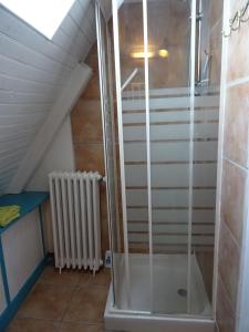 BrandonnetManoir Les Hortensias的阁楼房间里的玻璃淋浴间