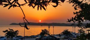 Φωτογραφία από το άλμπουμ του D&D Holiday Studios στον Ποτό