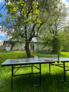 a ping pong table in front of a tree at Kino na łące - apartament z prywatną salą kinową in Wojcieszyce +7 photos
