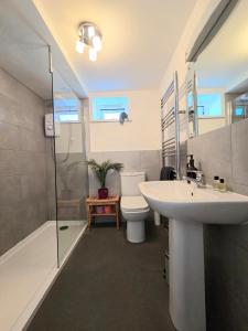 a bathroom with a sink and a toilet and a shower at Millendreath Oean View Villa in Saint Martin