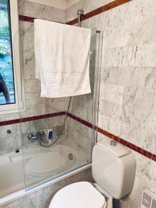 a bathroom with a toilet and a shower and a sink at Monte Carlo Vista in Beausoleil