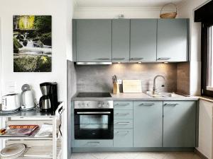 a kitchen with gray cabinets and a sink and a stove at Stella in Sankt Andreasberg +18 photos