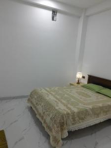 a bedroom with a bed and a lamp on a table at AJA Manzil in Watumulla