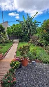 a garden with potted plants and flowers on a walkway at La Kaz Héliconias in Le Tampon