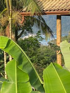 Φυσικό τοπίο κοντά σε αυτός ο ξενώνας +10 φωτογραφίες