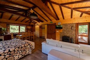 a living room with a bed and a fireplace at Abies Alba in Yarema residence zone