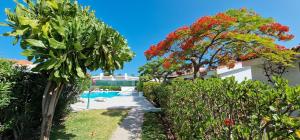 a garden with trees and a swimming pool at Wonderful Bungalow in Maspalomas in Maspalomas