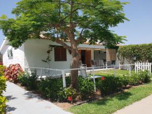 a house with a tree in front of it at Wonderful Bungalow in Maspalomas in Maspalomas
