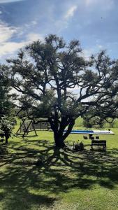 a tree in a field with a bench under it at Casa Los Abuelos in La Granja