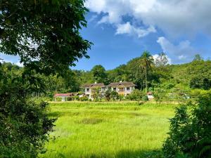 una casa en medio de un campo verde en Karlad Lake Palace Waterfront Resort by stayRAa, en Tariyod