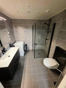a bathroom with a shower and a toilet and a sink at Nice apartment in the center of Trysil 403 in Trysil +7 photos