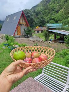 a person holding a basket of apples and a house at Nirvana River Nest in Sainj +11 photos