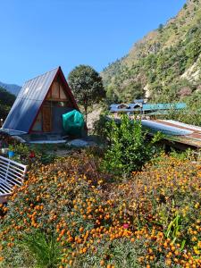 a field of flowers in front of a house at Nirvana River Nest in Sainj