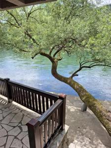 Billede fra billedgalleriet på Lane Apartmani i Vrhpolje + 10 billeder